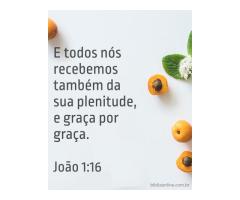 Recebemos da plenitude de Deus