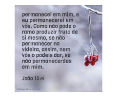 Permanecer em Cristo