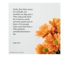 Revelações da vontade de Deus