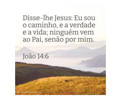 Que Jesus nos guie