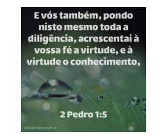 Virtude e conhecimento