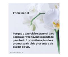 Paciência e piedade