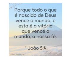 Vitória após vitória