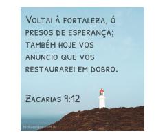 Buscar a Deus com todo o coração