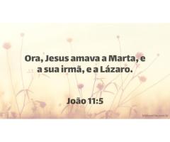 Jesus e seus amigos em Betânia